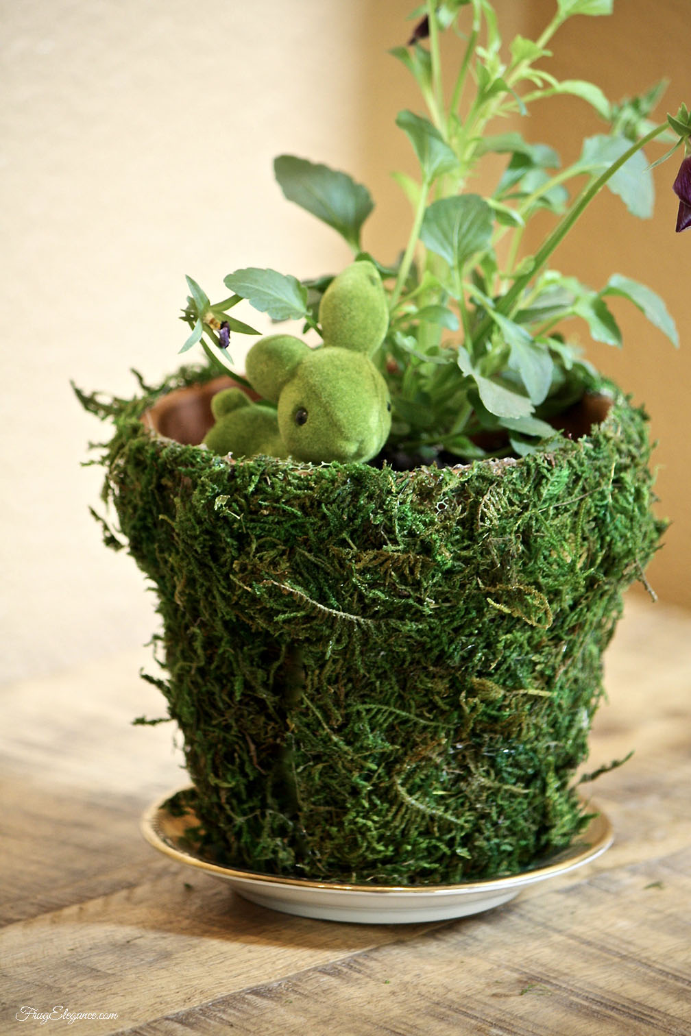 Moss Covered Pots FrugElegance